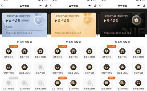 母婴品牌的私域运营体系案例分析