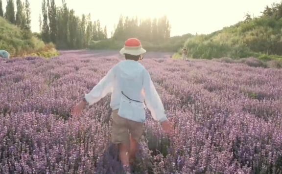 彩棠品牌文艺感超标的创意TVC《立秋的原意》