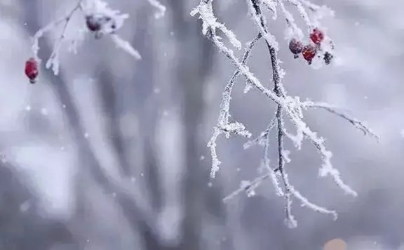 大雪节气朋友圈高质量的温暖文案