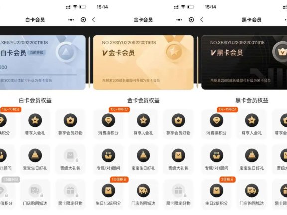 母婴品牌的私域运营体系案例分析