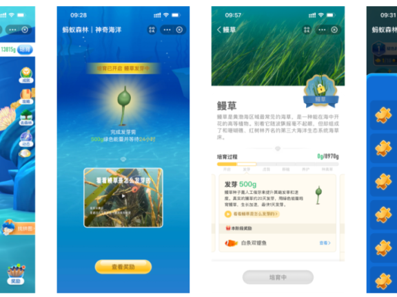 支付宝神奇海洋游戏案例短拆解