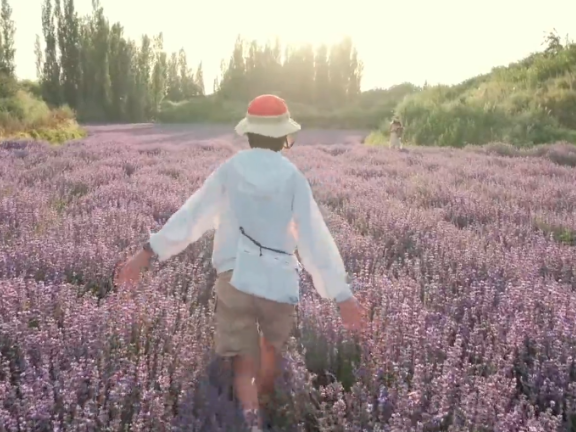 彩棠品牌文艺感超标的创意TVC《立秋的原意》