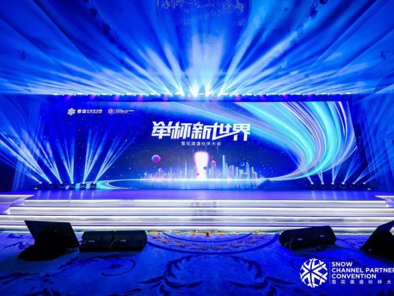 华润雪花啤酒勇闯啤酒新世界的营销策略