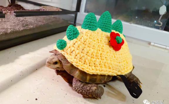 小店永续经营秘诀和产品动销的关键