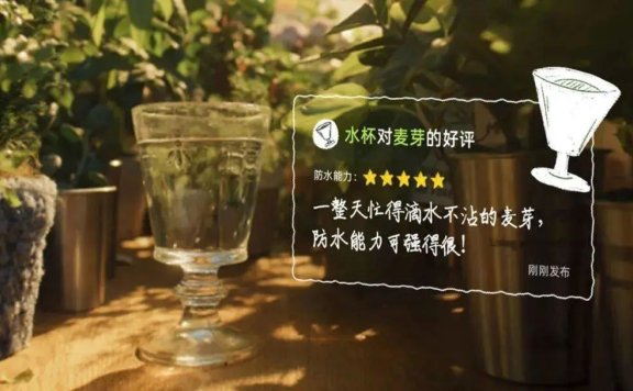 淘宝品牌创意广告短片《特殊的好评》