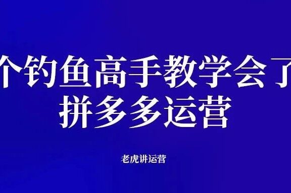 一个钓鱼高手教学会了我拼多多运营