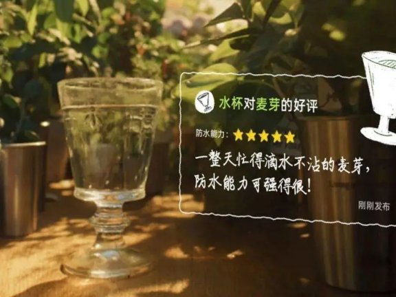 淘宝品牌创意广告短片《特殊的好评》