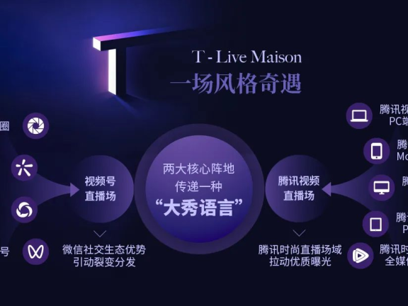 LV品牌数字营销策略案例分析