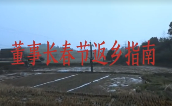 临水玉泉春节品牌创意广告《董事长春节返乡指南》