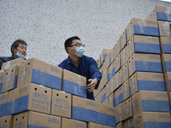 年货节背后的“农货”电商生意