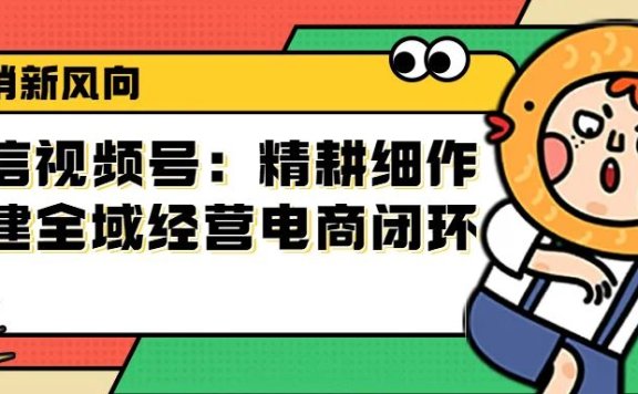 微信视频号:精耕细作搭建全域经营电商闭环