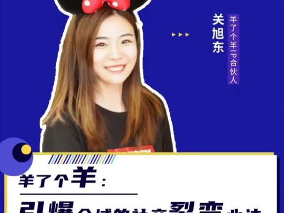 羊了个羊的全域新测试