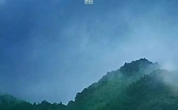 谷雨借势节气创意文案赏析