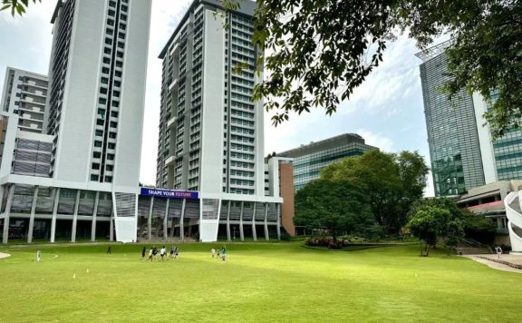 聊聊快团团和淘客的对比