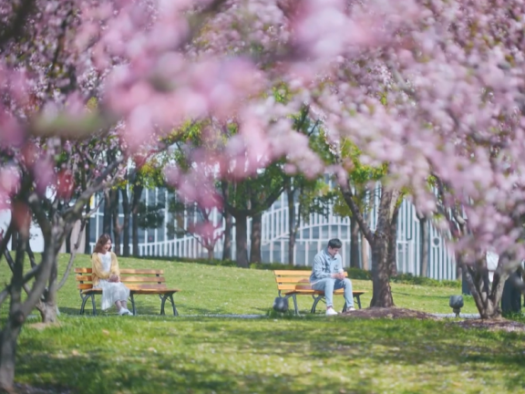 美团买药品牌创意广告短片《过敏社交礼仪》