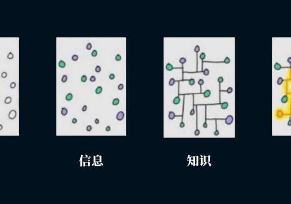 3个全域数字化经营的故事