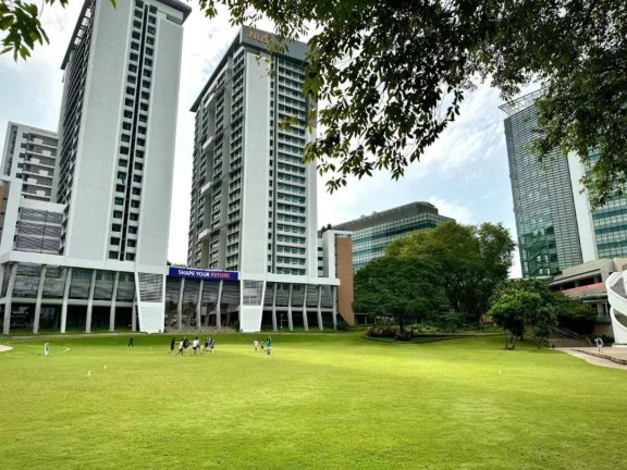 聊聊快团团和淘客的对比