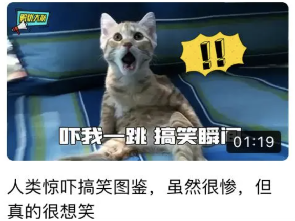 百度视频搜索技巧:视频标题的进阶指南