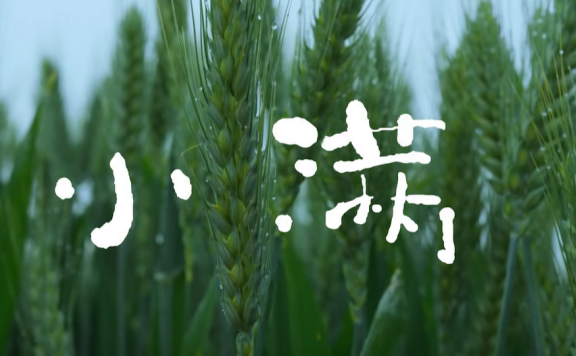 OPPO小满品牌创意广告短片《 刚好就是最好，小满即是圆满》