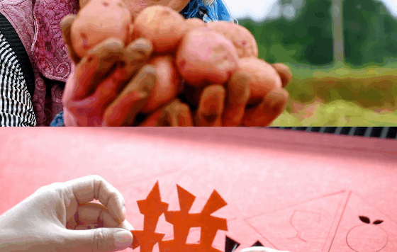 拼多多:面对质疑,永远向内找原因