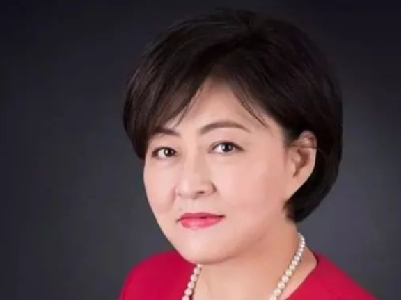 徐新:人的差距,往往来自是否专注