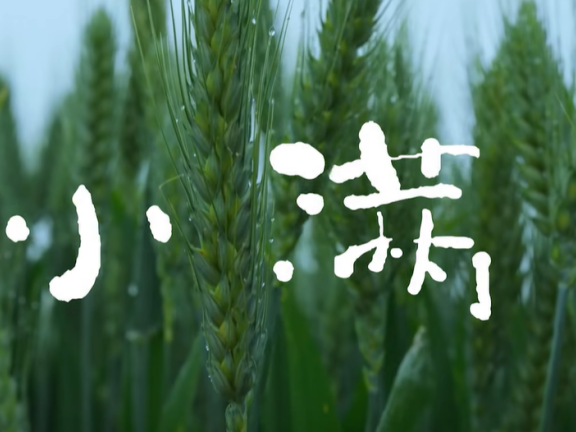 OPPO小满品牌创意广告短片《 刚好就是最好,小满即是圆满》