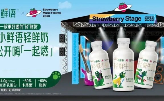 小鲜语玩转用户时代的品牌营销案例分析