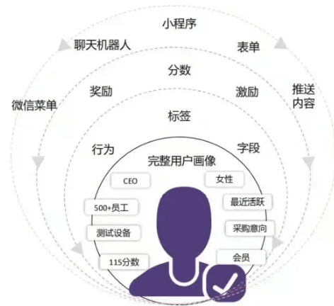 怎样经营好私域?