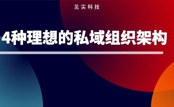 4种理想的私域组织形态