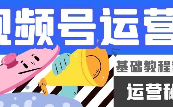 视频号基础教程系列课:视频号运营秘笈