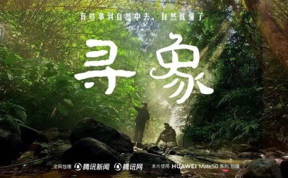 腾讯新闻以高价值内容创造品牌声量