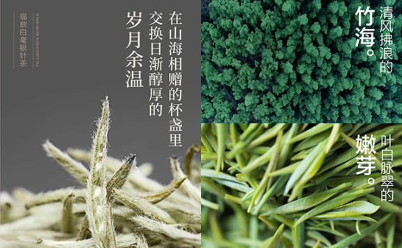 小罐茶的创意文案赏析