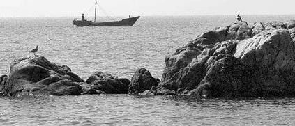 做私域流量都用哪些工具?