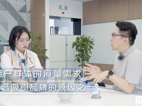 巨量引擎大促IP营销展示品效销进阶玩法