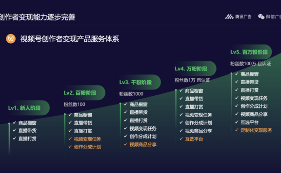 宏观和微观视角下的微信商业生态
