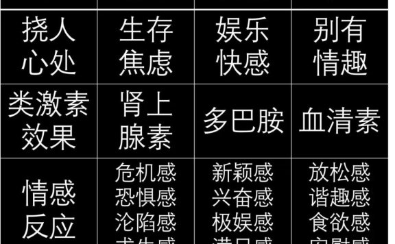 为什么情绪痛点创造文化爆款?