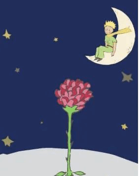 浪漫营销的新解法