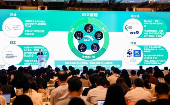 安踏集团的营销增长案例分析