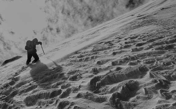 品牌如何才能真正占据了人心