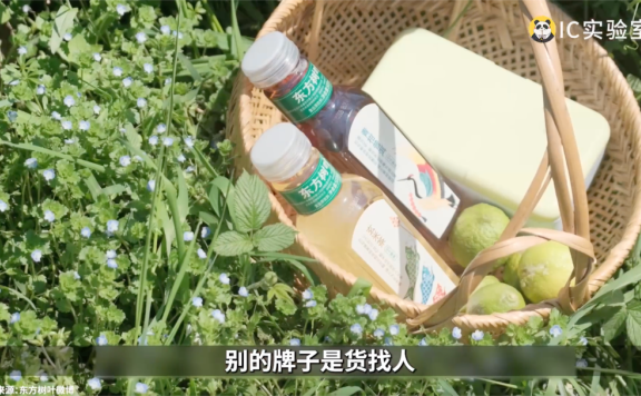 被嫌弃的东方树叶是如何成为市场宠儿的