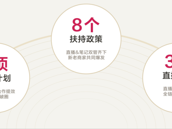 小红书双十一逐渐从精细化到多元化