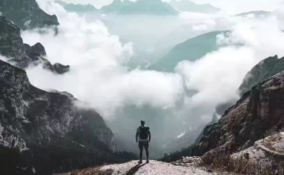 直播电商走到分岔口