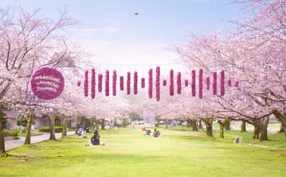 品牌“扫码”创意策略案例