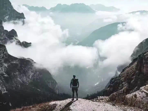 直播电商走到分岔口