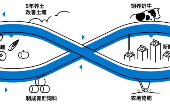 为什么说品牌一定要有差异化价值?