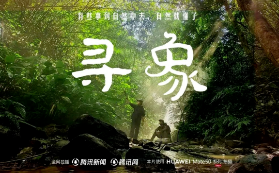 品牌主如何用新闻平台助力品牌建设?