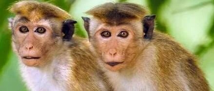 抖音账号自然起量的方法