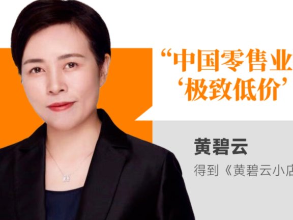 黄碧云： 极致低价还怎么赚钱？