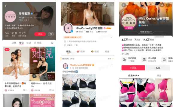 好奇密斯私域运营案例拆解