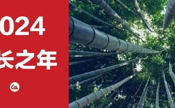 2024年品牌是最好的增长工具